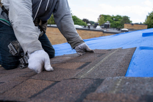 Best Tile Roofing Contractor  in Arcadia, WI