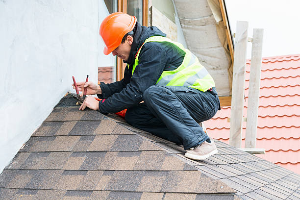 Best Local Roofing Companies  in Arcadia, WI
