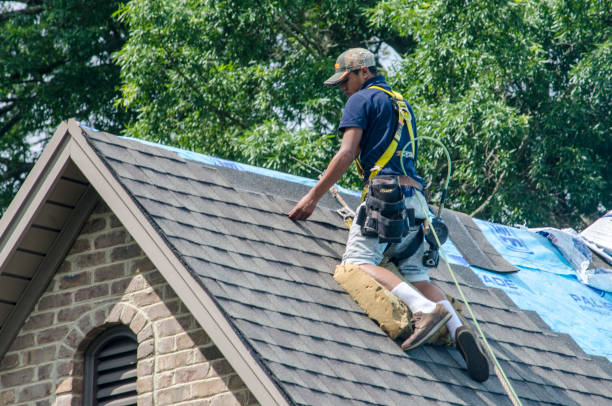 Best Roof Gutter Cleaning  in Arcadia, WI